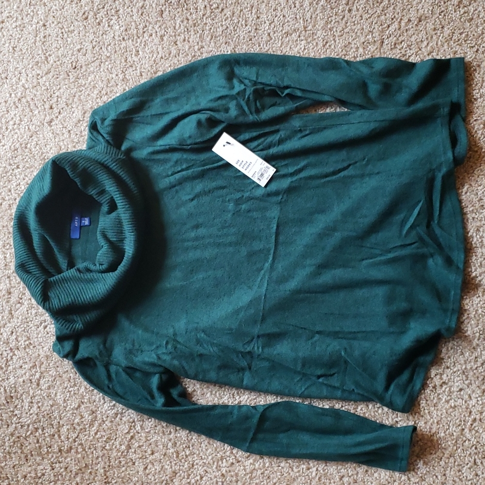 NWT Green Cowl Neck Super Soft Sweater - Picture 1 of 4
